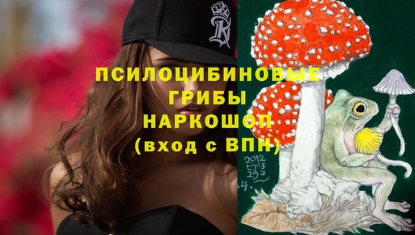 герыч Абаза
