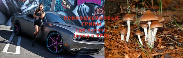 герыч Абаза