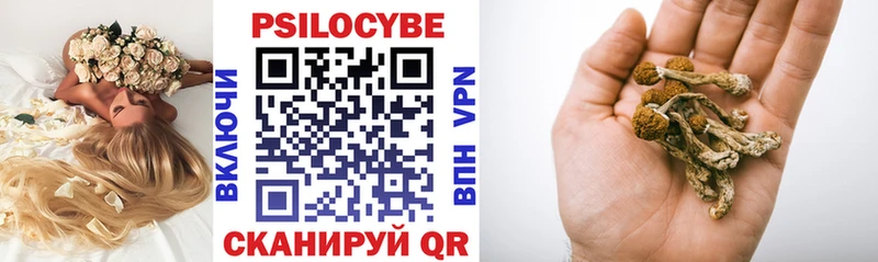 Псилоцибиновые грибы Psilocybine cubensis  Ялта 