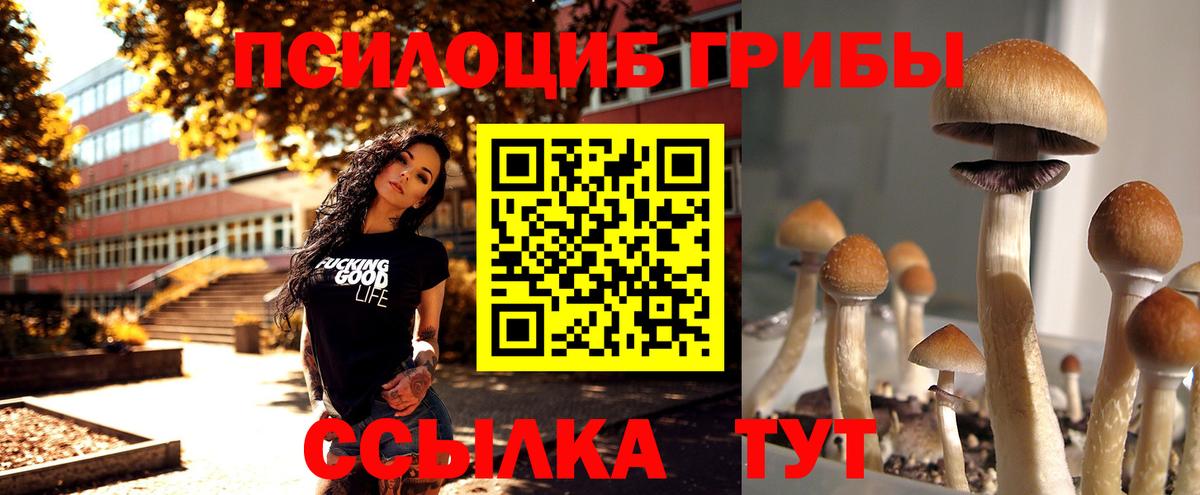 Галлюциногенные грибы мицелий  Вход с VPN  Ялта 